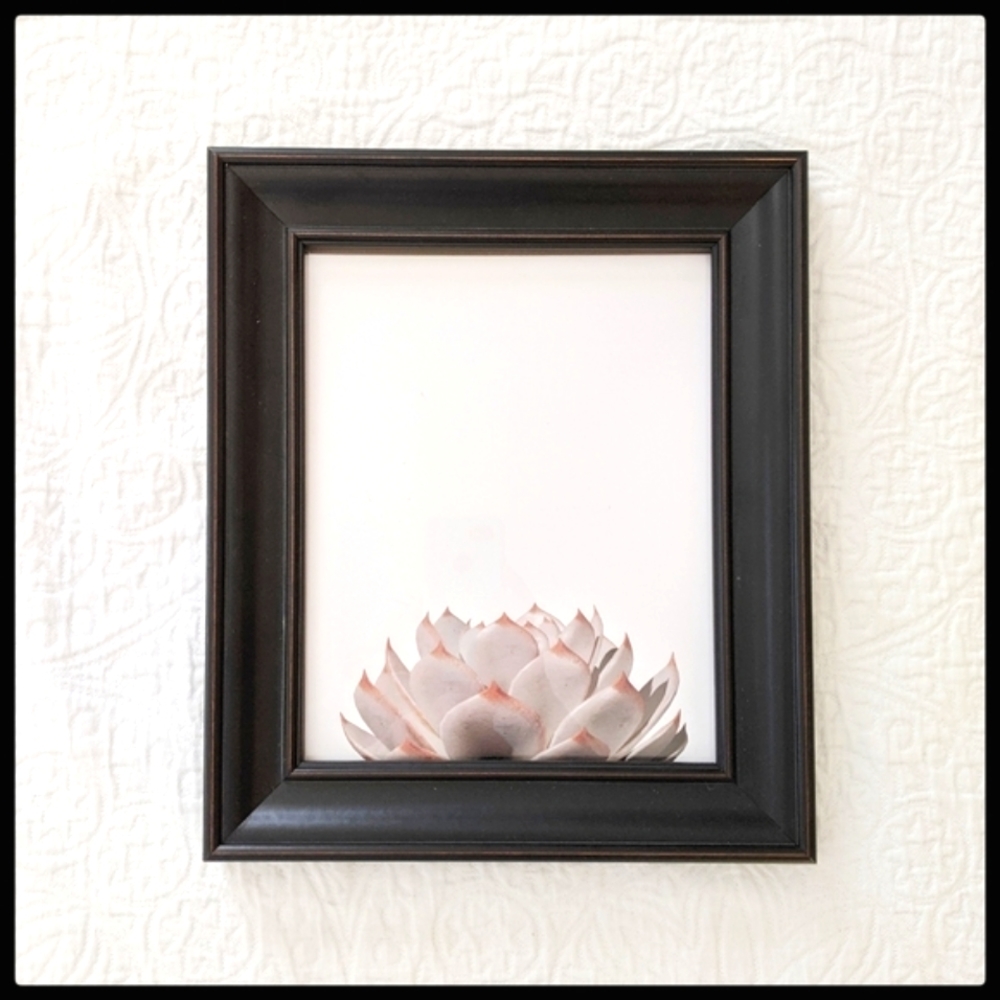 SALE! 2 Framed Photo Set: Cactus & Succulent